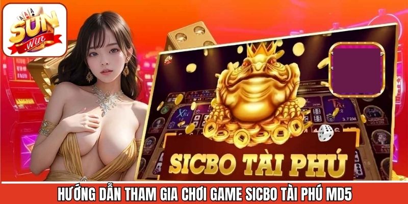 Hướng dẫn cá cược Sicbo Tài Phú MD5 tại Sunwin 