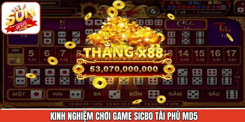 Kinh nghiệm giành chiến thắng trong Sicbo Tài Phú