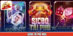 Sicbo Tài Phú MD5 - Trò Chơi Cá Cược Nổi Bật Tại Sunwin